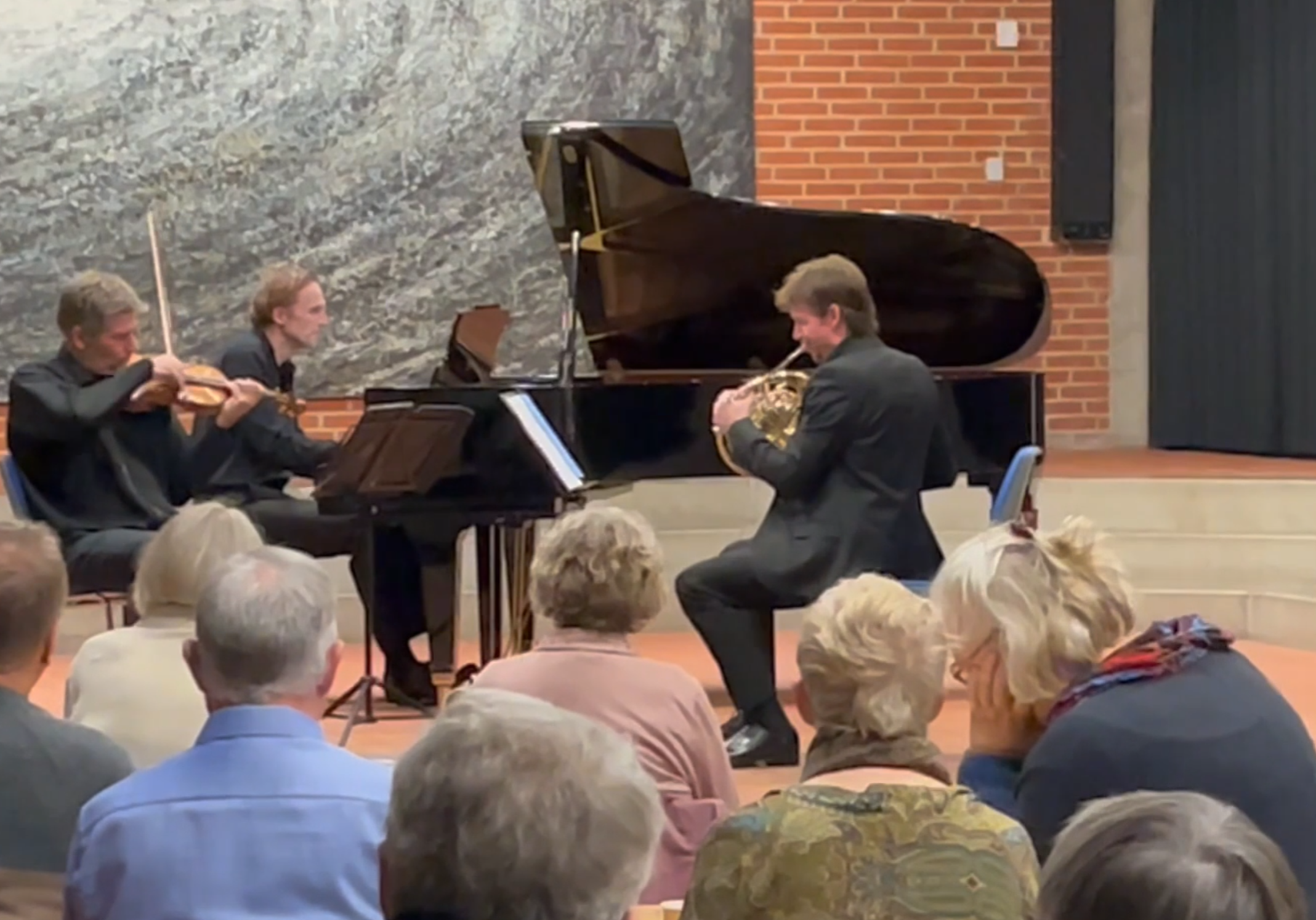 TRIO koncert